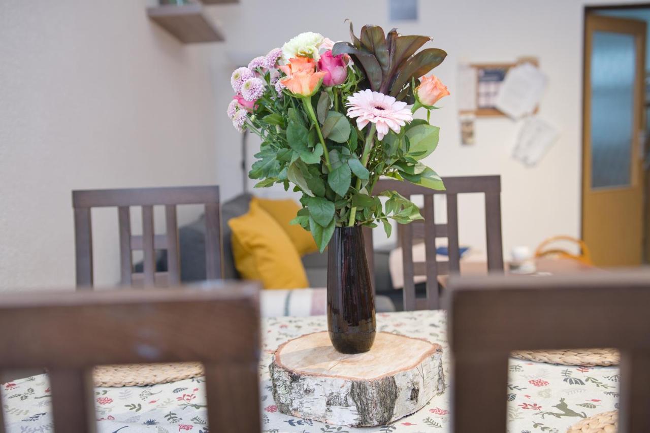 Apartman Pod Cernou Horou Svoboda nad Úpou Extérieur photo